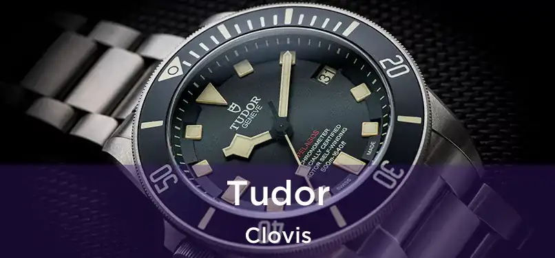 Tudor Clovis