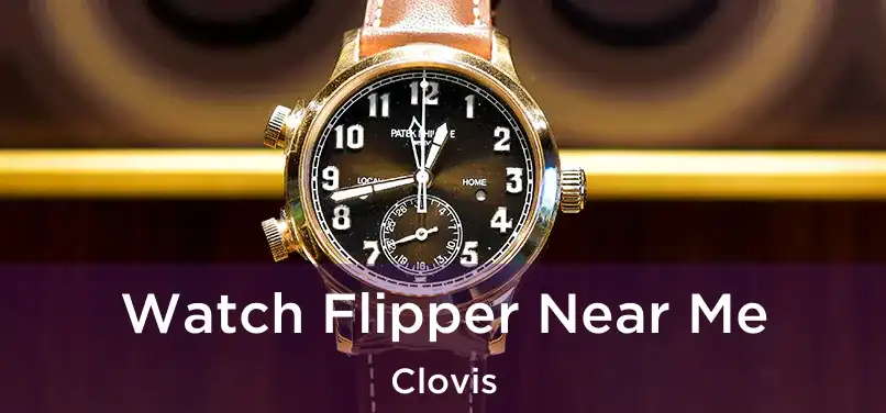 Watch Flipper Near Me Clovis